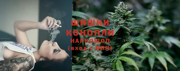 прущие грибы Бугульма
