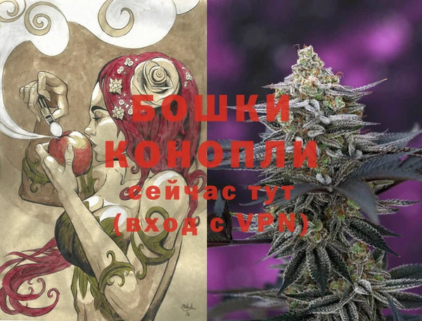 прущие грибы Бугульма