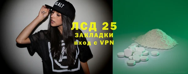 прущие грибы Бугульма
