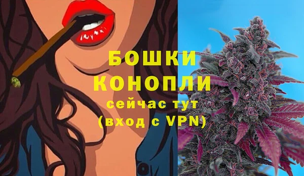 jwh Бородино