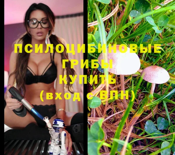 jwh Бородино