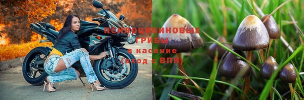 jwh Бородино
