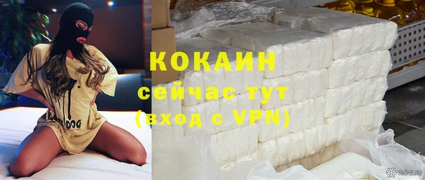 прущие грибы Бугульма