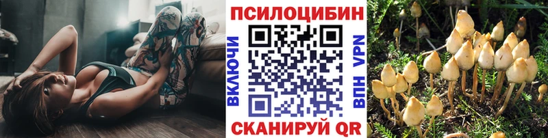 Галлюциногенные грибы Cubensis Нижневартовск